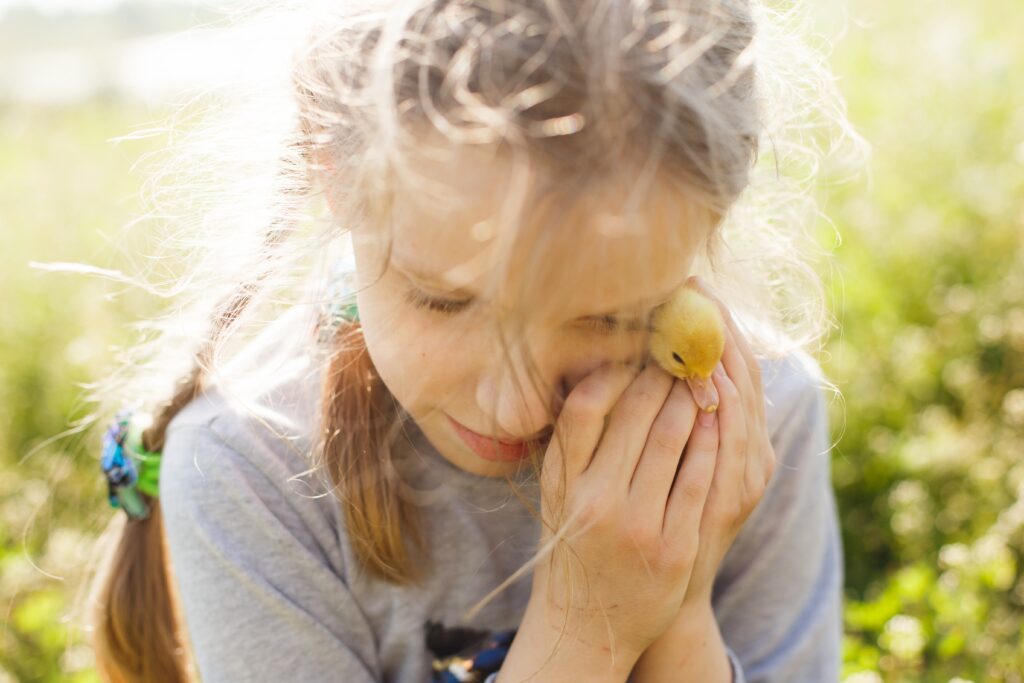 What Activities Or Discussions Can You Initiate To Teach Your Child About Empathy And Kindness And Respect For Others?